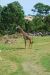 08-03-05, 042, Brevard Zoo, Fla