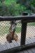 08-03-05, 048, Brevard Zoo, Fla
