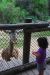 08-03-05, 049, Brevard Zoo, Fla