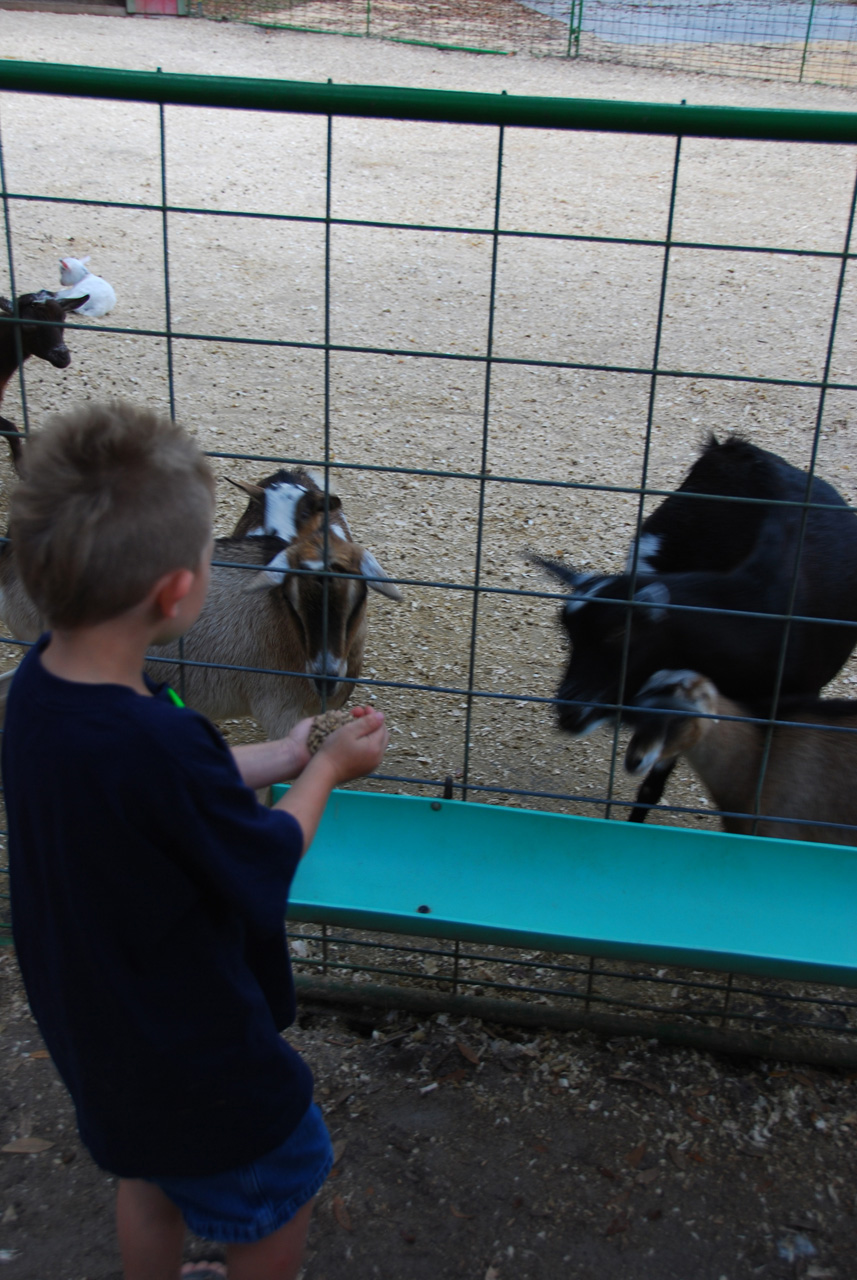 08-12-29, 080, Green Meadows Farm, Fla