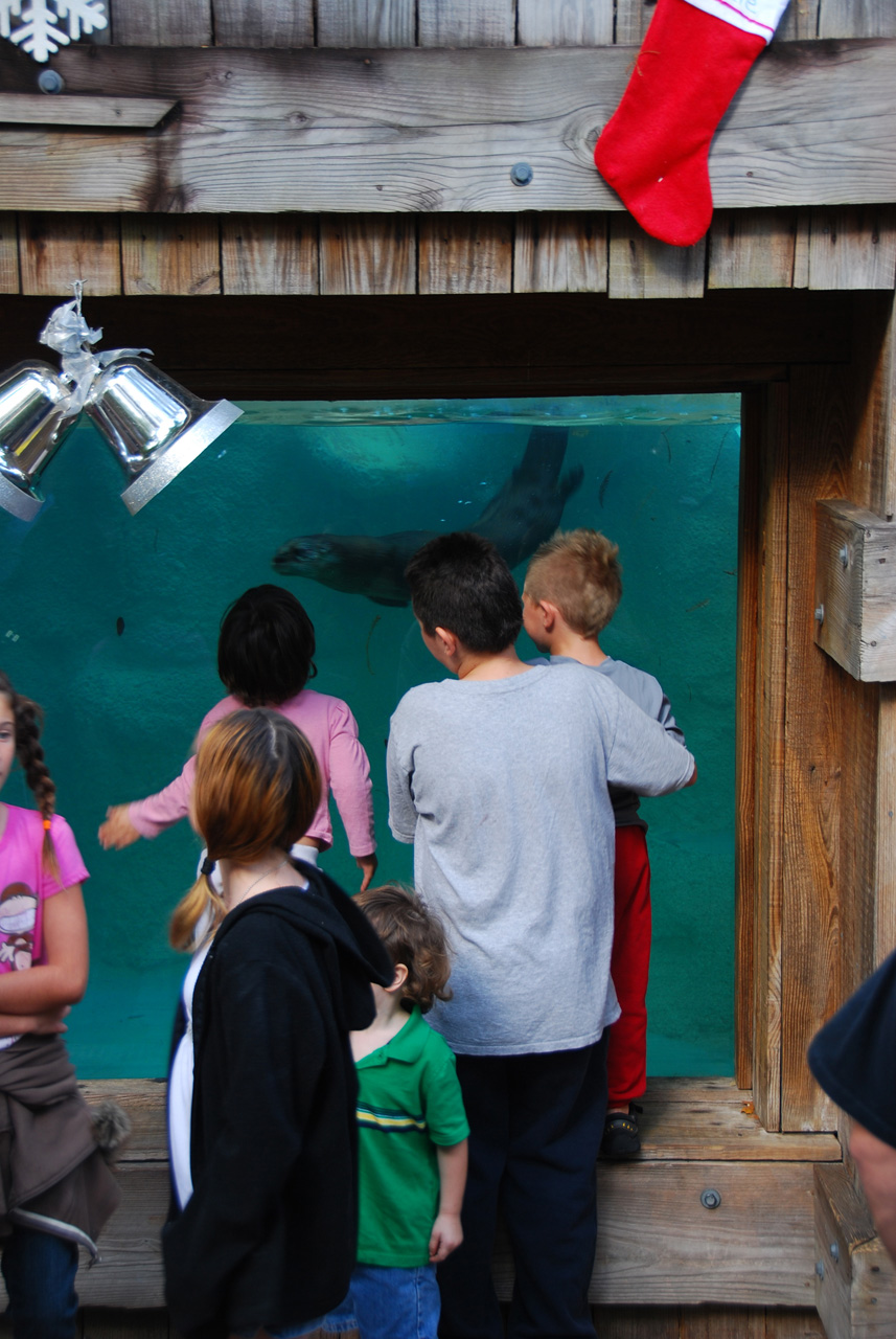 09-01-02, 012, Brevard Zoo, Fla