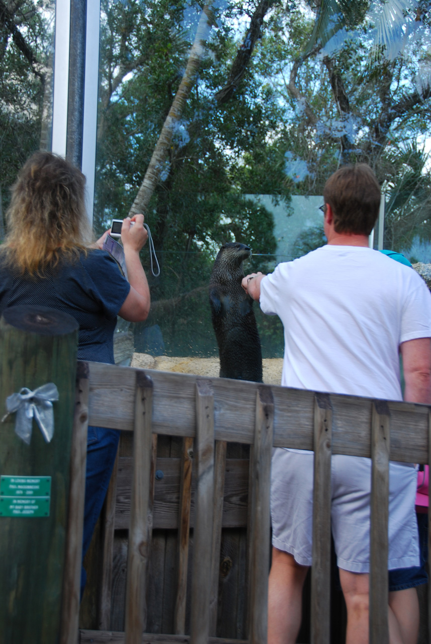 09-01-02, 013, Brevard Zoo, Fla