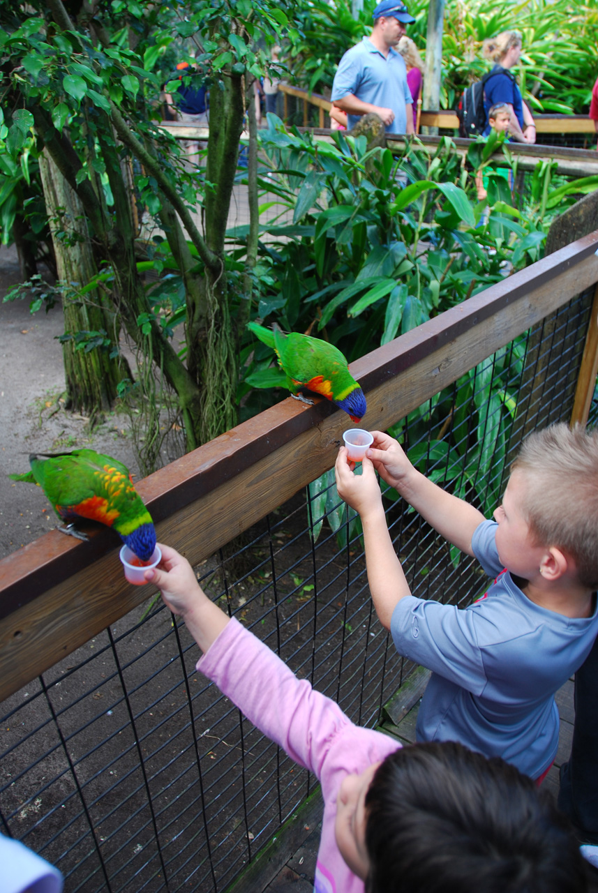 09-01-02, 016, Brevard Zoo, Fla