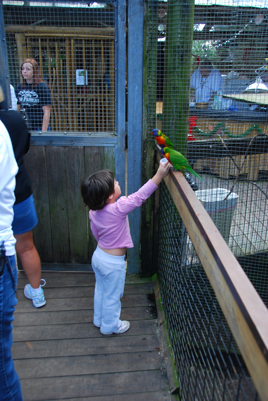 09-01-02, 017, Brevard Zoo, Fla