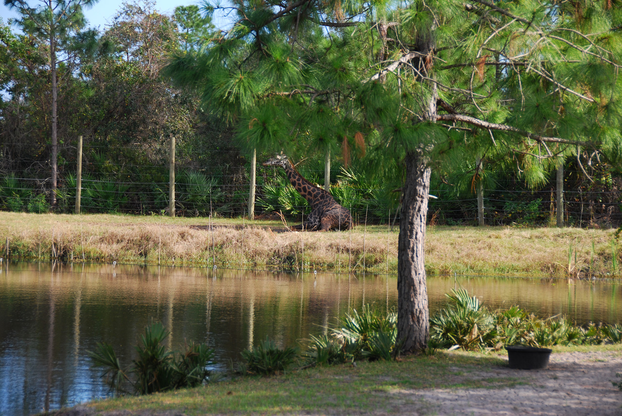 09-01-02, 033, Brevard Zoo, Fla