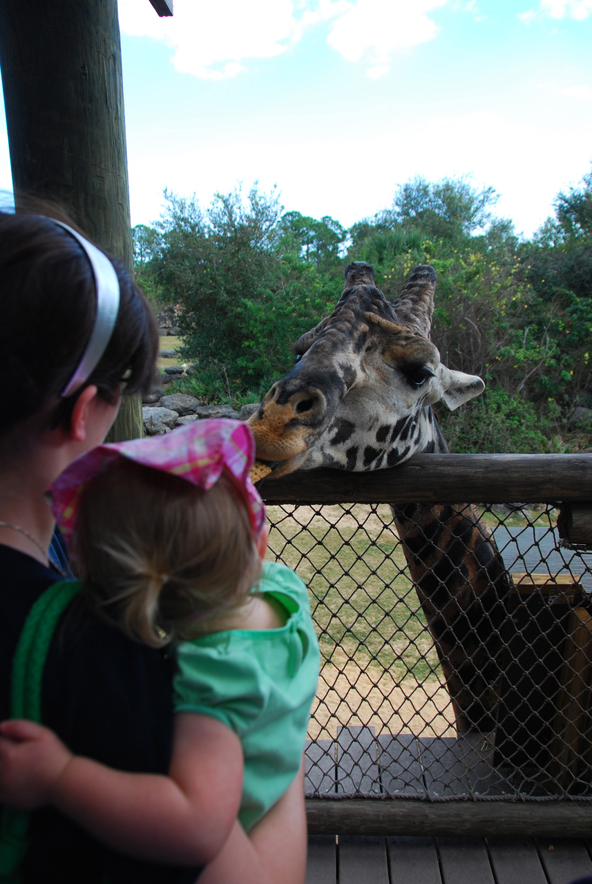 09-01-02, 038, Brevard Zoo, Fla