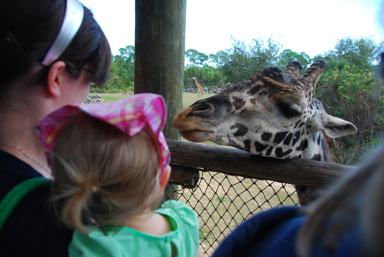 09-01-02, 039, Brevard Zoo, Fla