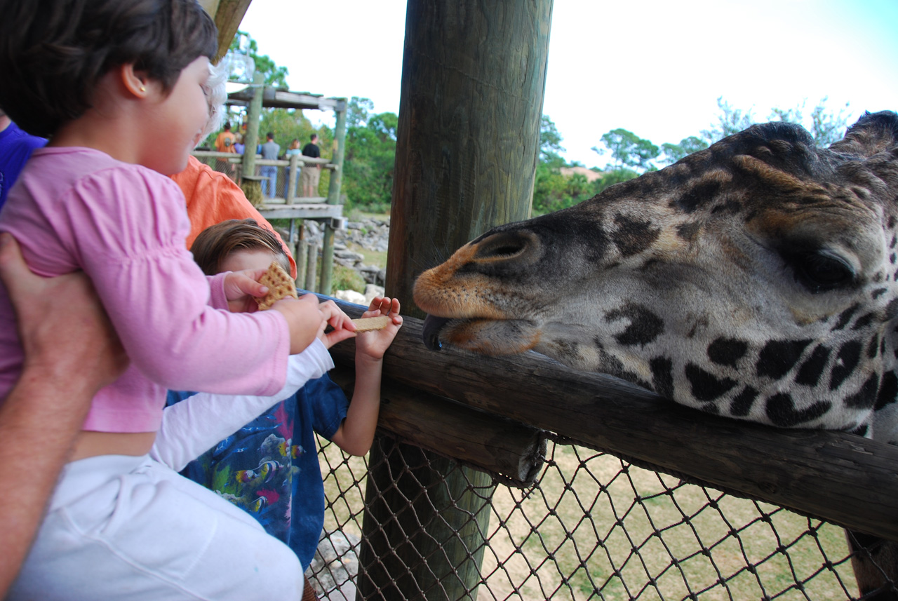 09-01-02, 040, Brevard Zoo, Fla