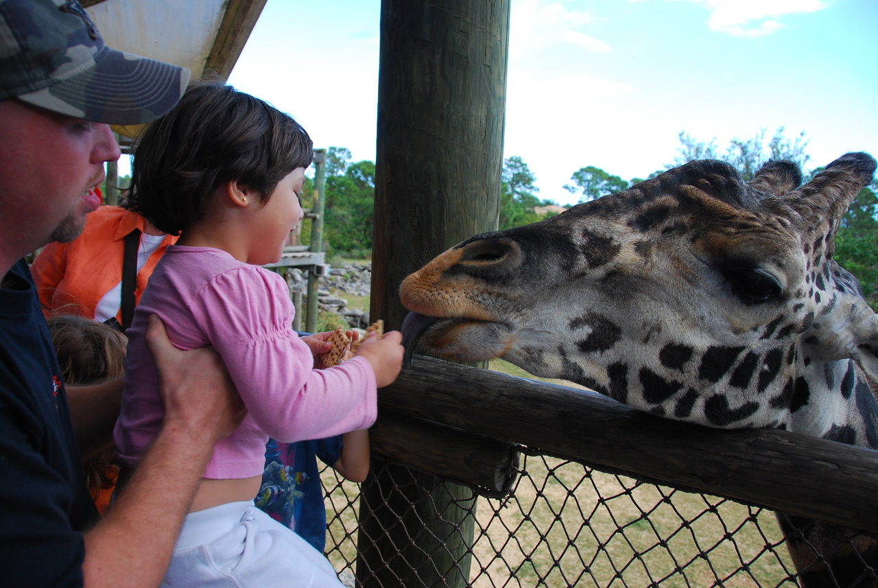 09-01-02, 041, Brevard Zoo, Fla