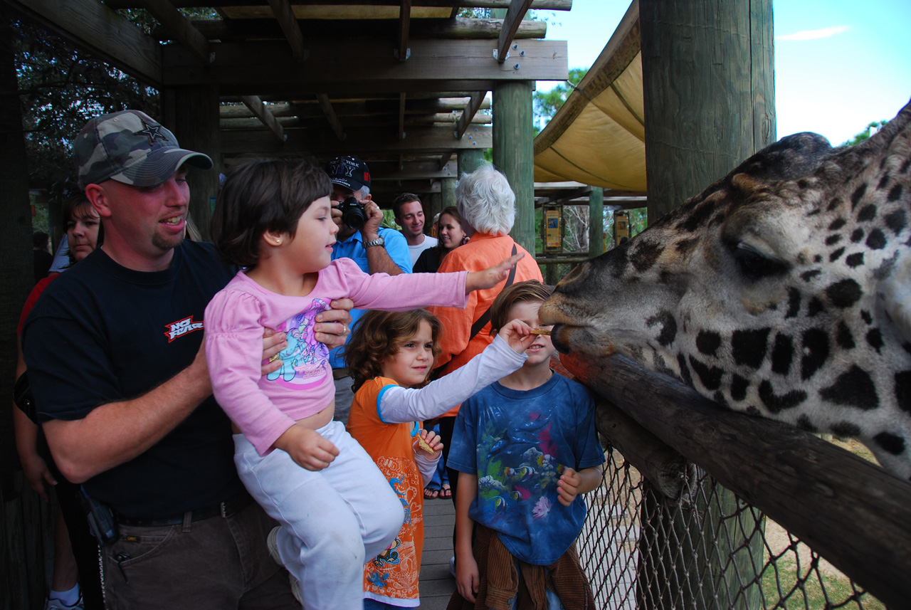 09-01-02, 043, Brevard Zoo, Fla