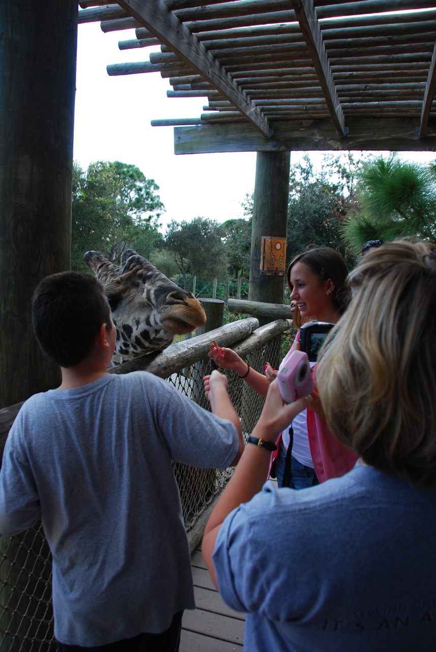 09-01-02, 044, Brevard Zoo, Fla
