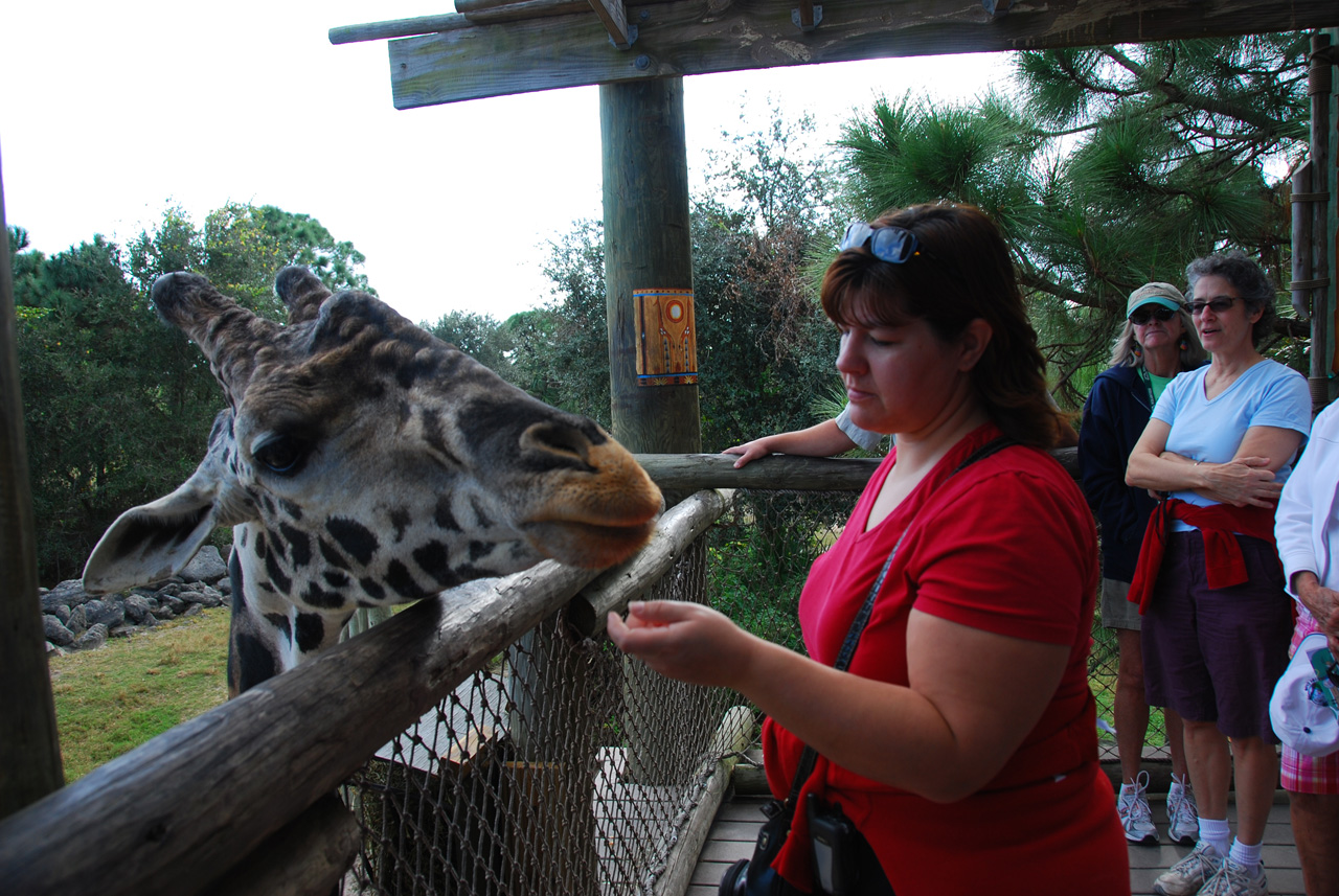 09-01-02, 045, Brevard Zoo, Fla