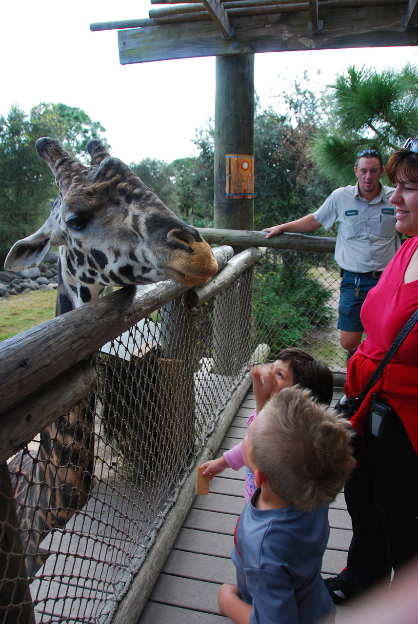 09-01-02, 046, Brevard Zoo, Fla