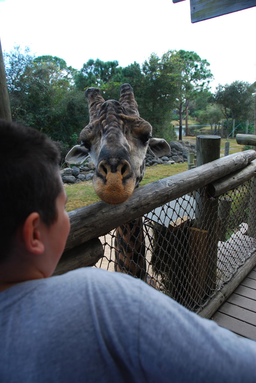09-01-02, 048, Brevard Zoo, Fla