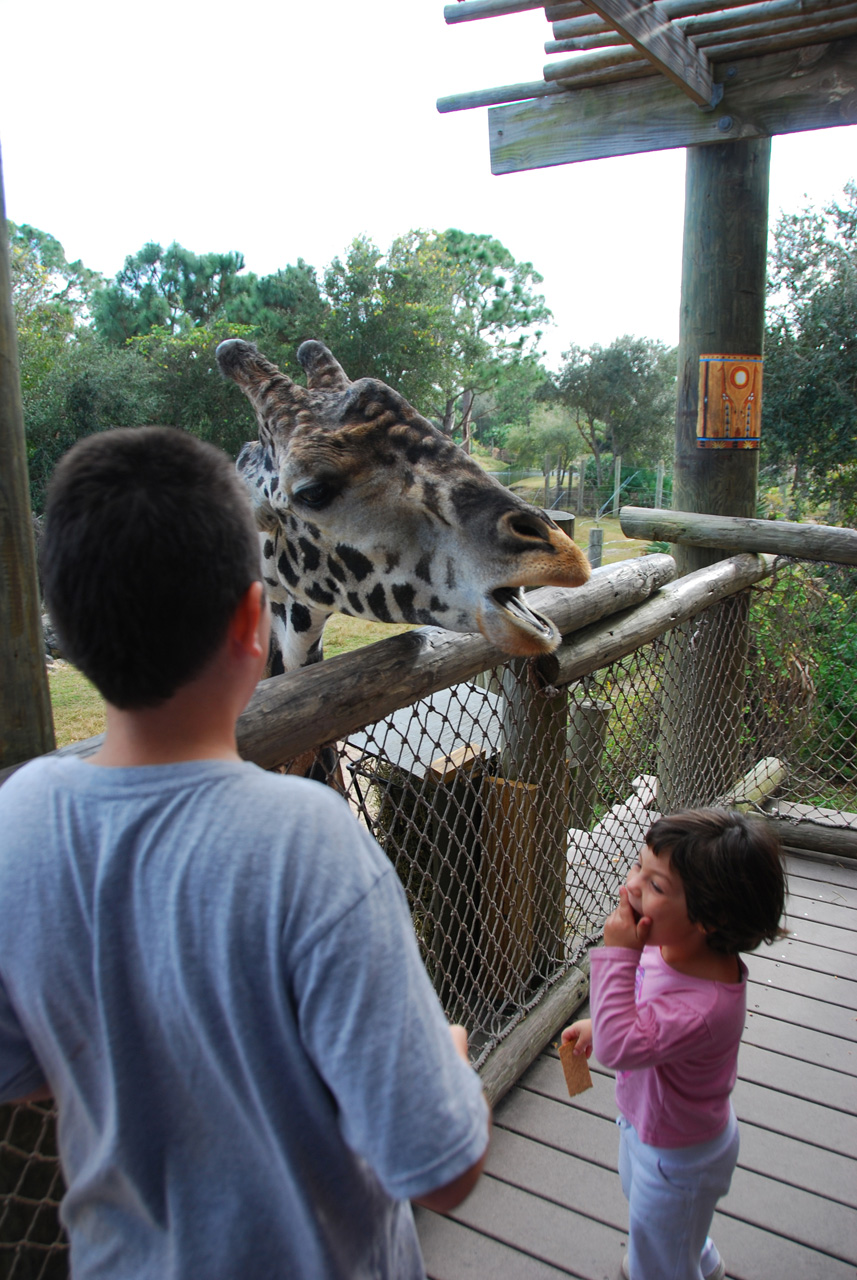 09-01-02, 049, Brevard Zoo, Fla