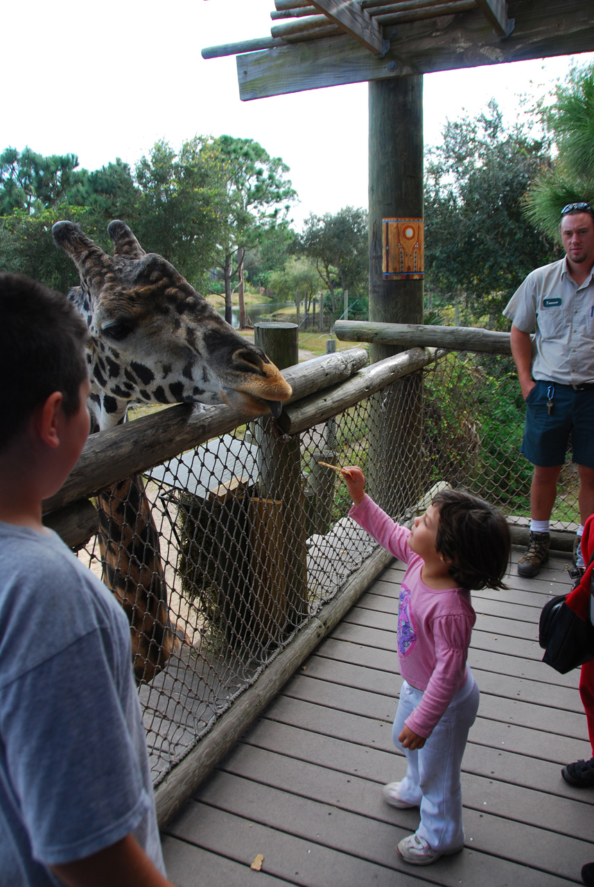 09-01-02, 050, Brevard Zoo, Fla