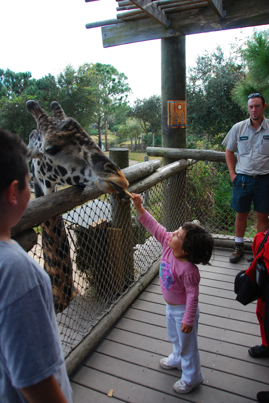 09-01-02, 051, Brevard Zoo, Fla