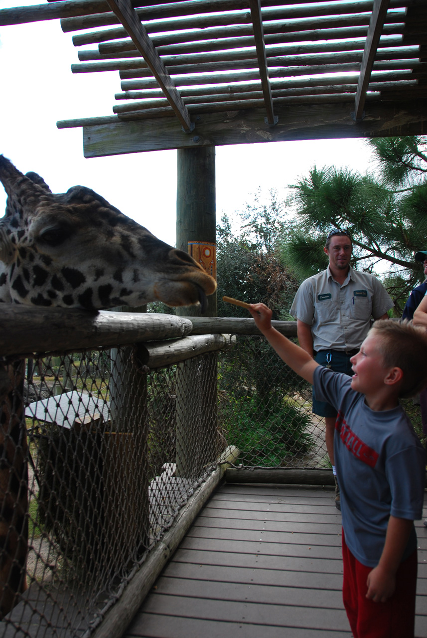 09-01-02, 052, Brevard Zoo, Fla