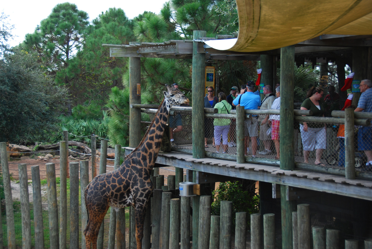 09-01-02, 056, Brevard Zoo, Fla