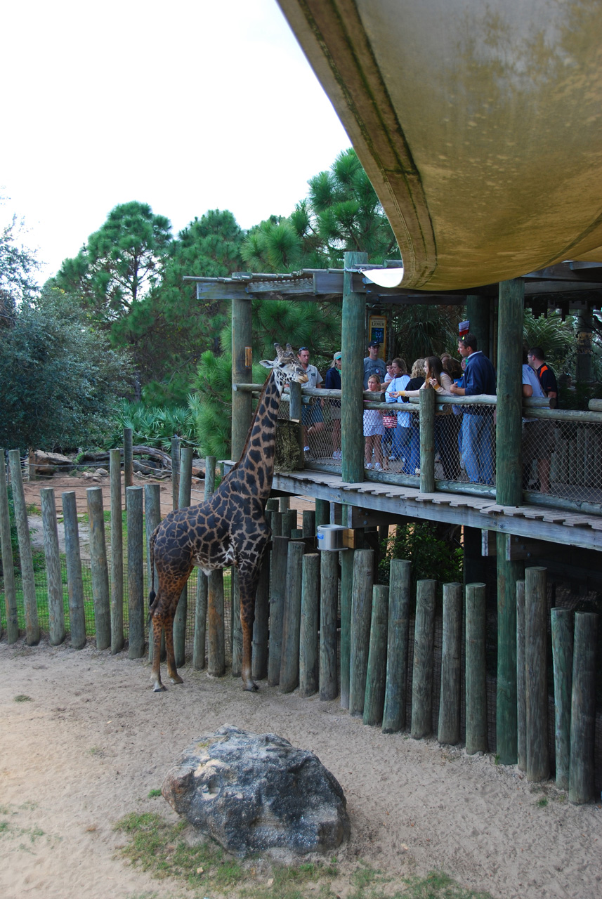 09-01-02, 057, Brevard Zoo, Fla