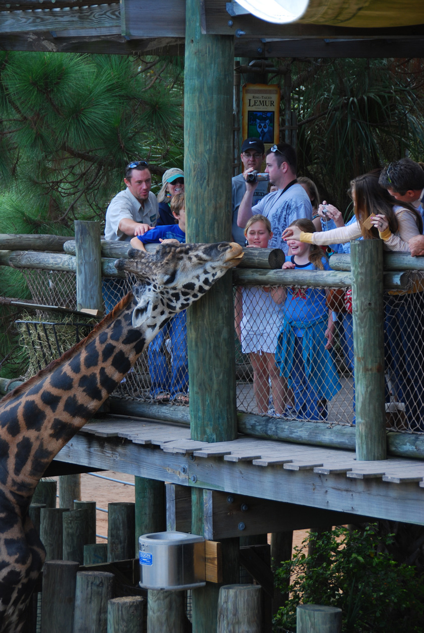 09-01-02, 060, Brevard Zoo, Fla