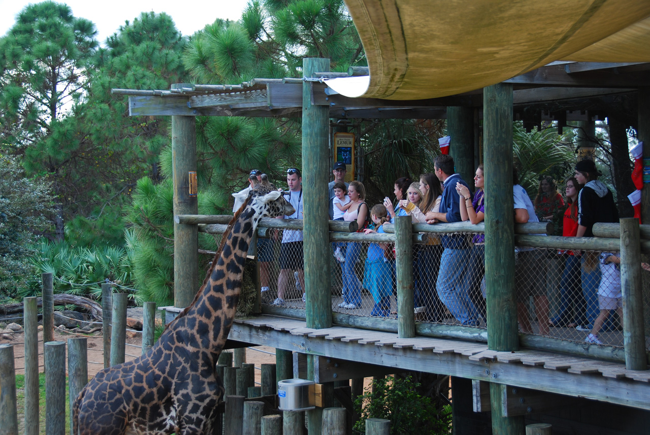 09-01-02, 062, Brevard Zoo, Fla