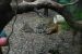 09-01-02, 005, Brevard Zoo, Fla