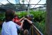 09-01-02, 030, Brevard Zoo, Fla