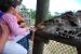 09-01-02, 040, Brevard Zoo, Fla