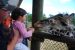 09-01-02, 041, Brevard Zoo, Fla