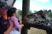09-01-02, 042, Brevard Zoo, Fla