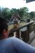 09-01-02, 048, Brevard Zoo, Fla
