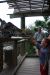 09-01-02, 052, Brevard Zoo, Fla