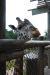 09-01-02, 054, Brevard Zoo, Fla
