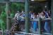 09-01-02, 061, Brevard Zoo, Fla