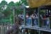 09-01-02, 062, Brevard Zoo, Fla