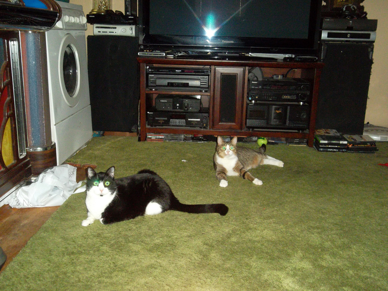 2013-06-03, 001, Frisky & Ferris