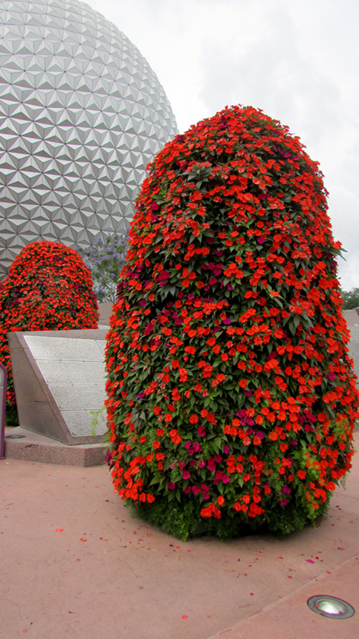 2017-05-23, 004, Epcot, Janice and Linda