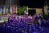2017-05-24, 018, Mikey's HS Graduation, Winter Springs FL