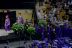 2017-05-24, 026, Mikey's HS Graduation, Winter Springs FL