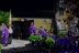 2017-05-24, 027, Mikey's HS Graduation, Winter Springs FL