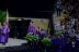 2017-05-24, 029, Mikey's HS Graduation, Winter Springs FL