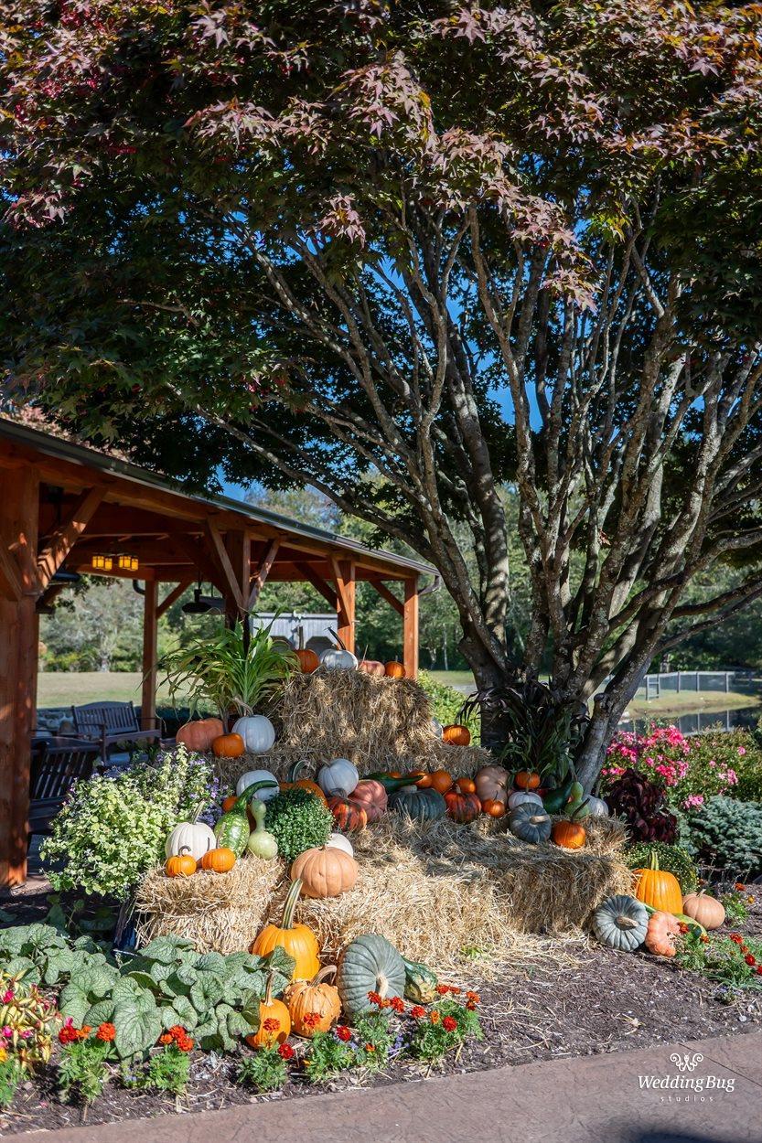 2025-10-04, 003, Michael & Nichole Wedding Day,