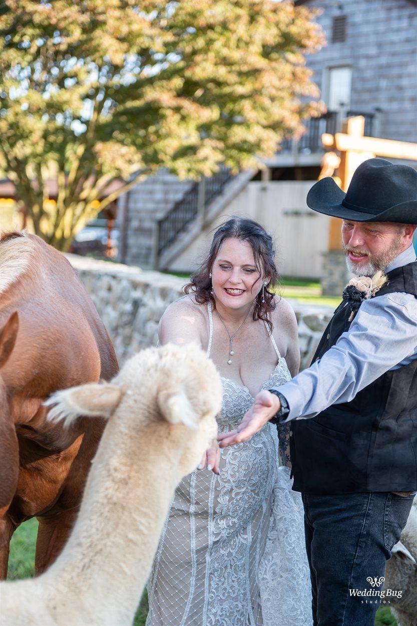 2025-10-04, 390, Michael & Nichole Wedding Day,