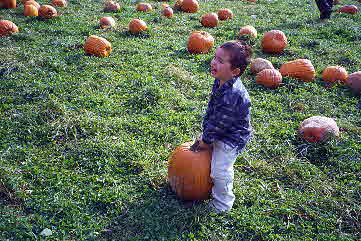 00-10-14, 09a, Mikey and Pumkins, Pumkin Picking Farm, NJ