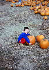 01-10-20, 31, Mikey and Pumkins, Pumkin Picking Farm, NJ
