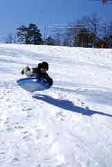 87-01-00, 22, Michael, Dingmans Ferry, PA